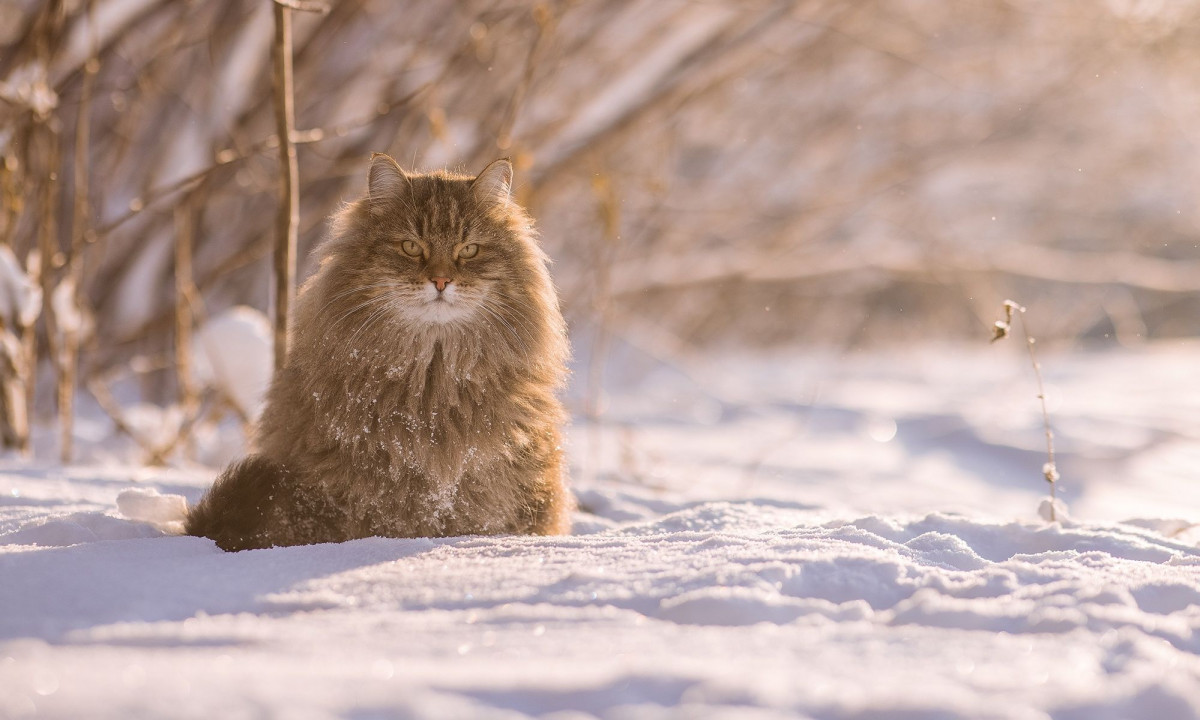 Διάβασε την προσωπική σου πρόβλεψη, για σήμερα 05/12/2025