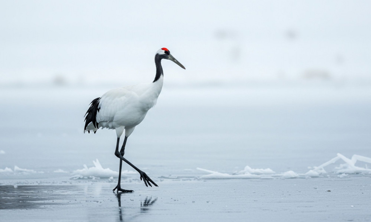 Διάβασε την προσωπική σου πρόβλεψη, για σήμερα 11/12/2025