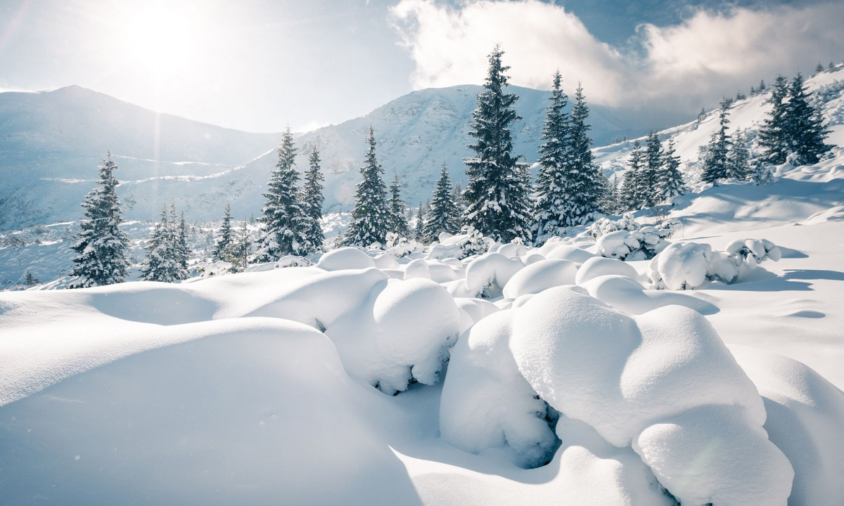 Διάβασε την προσωπική σου πρόβλεψη, για σήμερα 20/12/2025