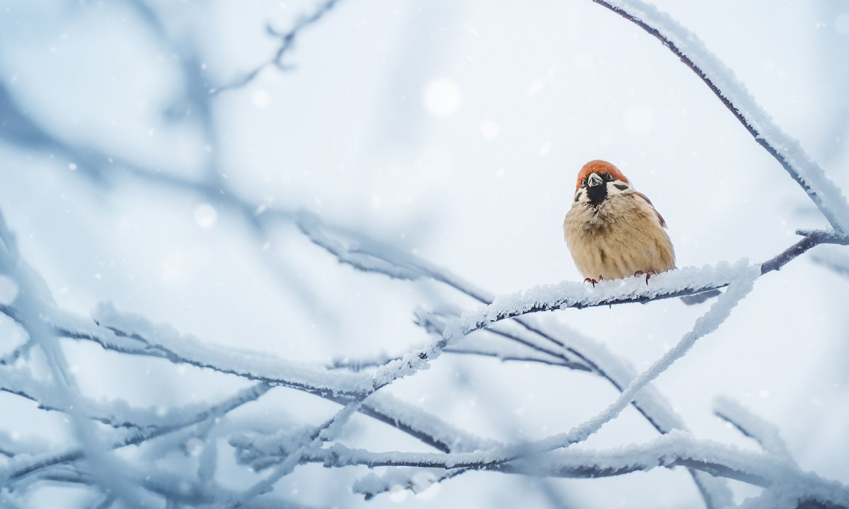 Διάβασε την προσωπική σου πρόβλεψη, για σήμερα 13/12/2025