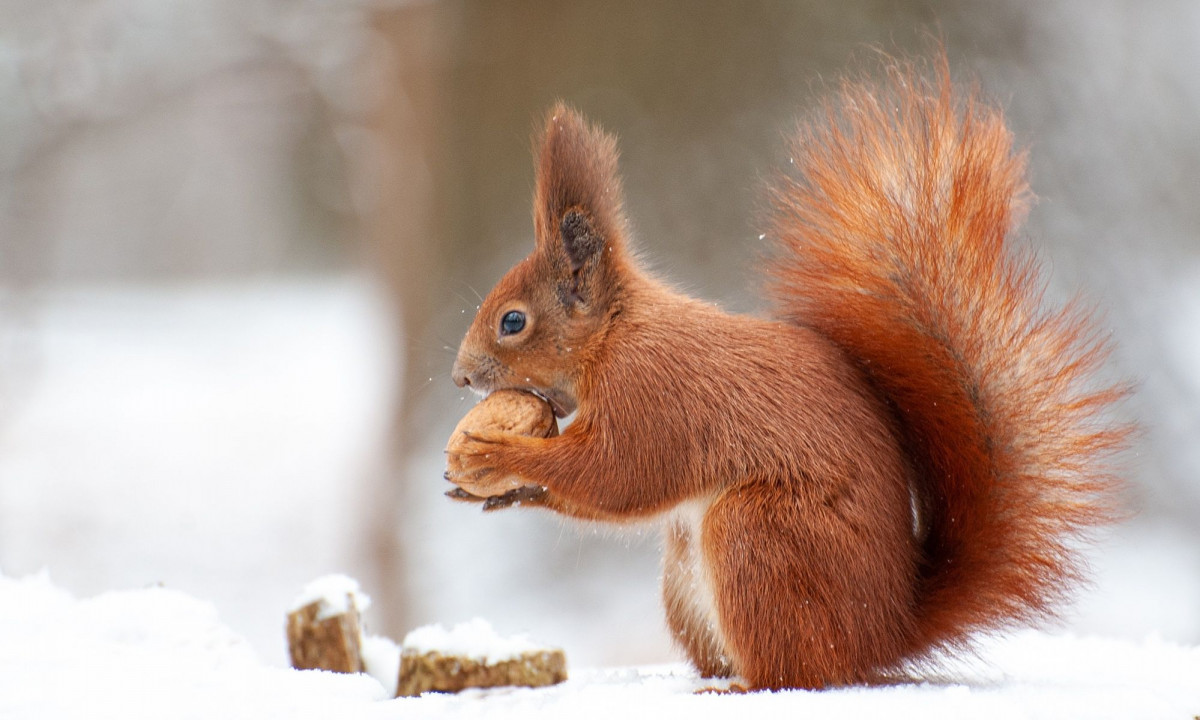 Διάβασε την προσωπική σου πρόβλεψη, για σήμερα 15/12/2025