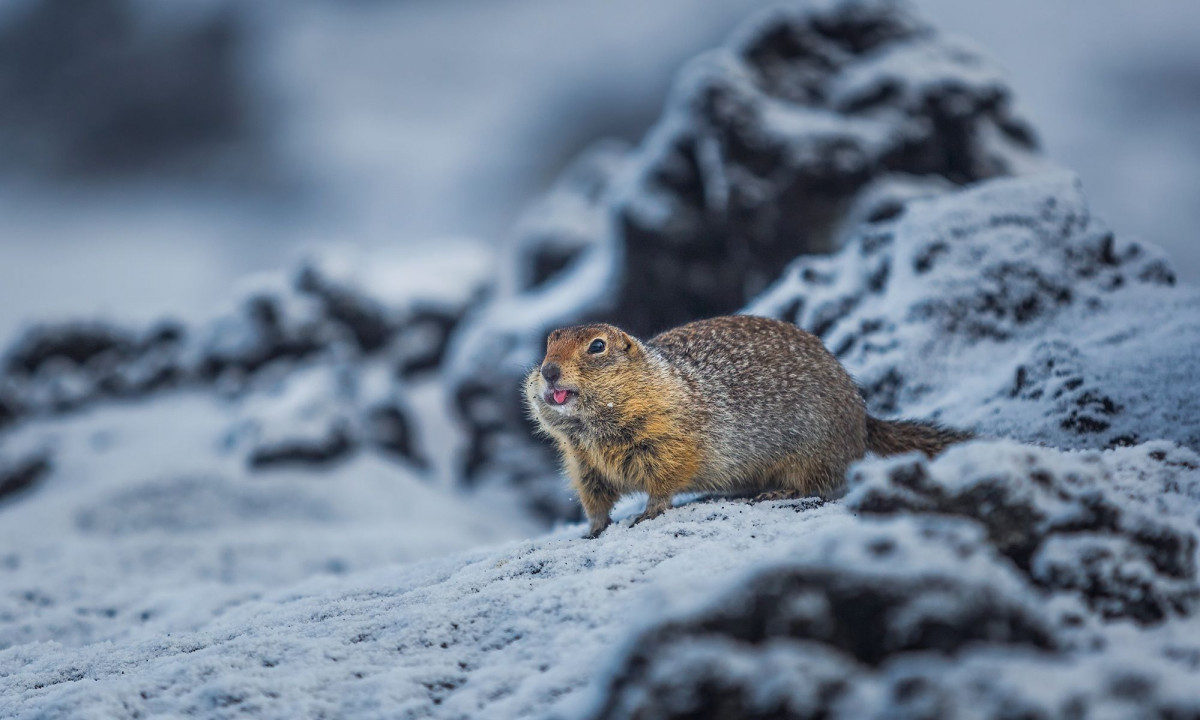 Διάβασε την προσωπική σου πρόβλεψη, για σήμερα 17/12/2025