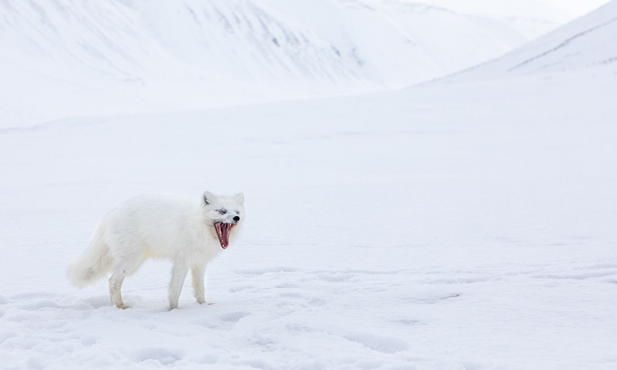 Διάβασε την προσωπική σου πρόβλεψη, για σήμερα 30/01/2026