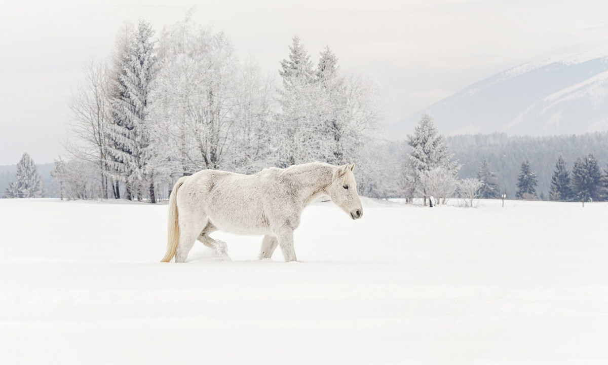 Διάβασε την προσωπική σου πρόβλεψη, για σήμερα 22/01/2026