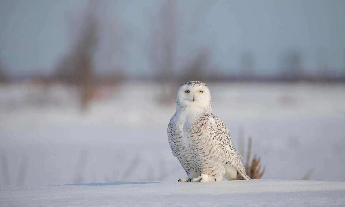 Διάβασε την προσωπική σου πρόβλεψη, για σήμερα 28/01/2026