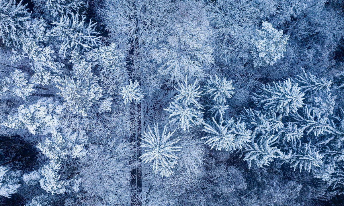 Διάβασε την προσωπική σου πρόβλεψη, για σήμερα 21/01/2026