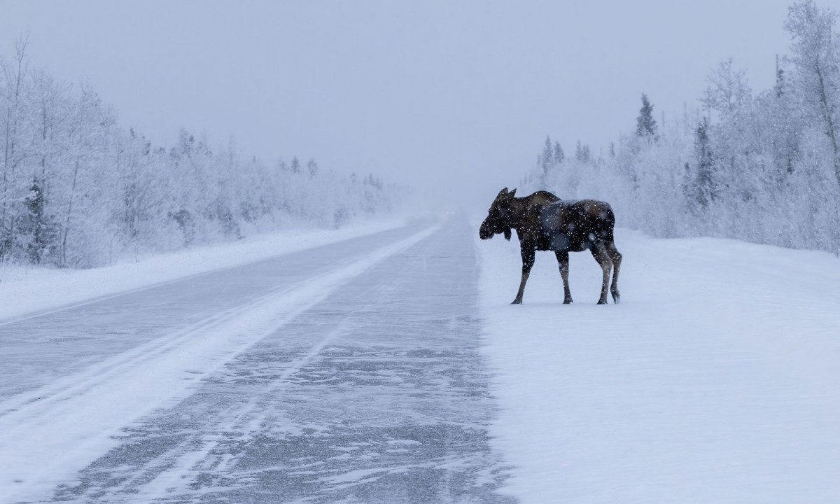 Διάβασε την προσωπική σου πρόβλεψη, για σήμερα 26/01/2026