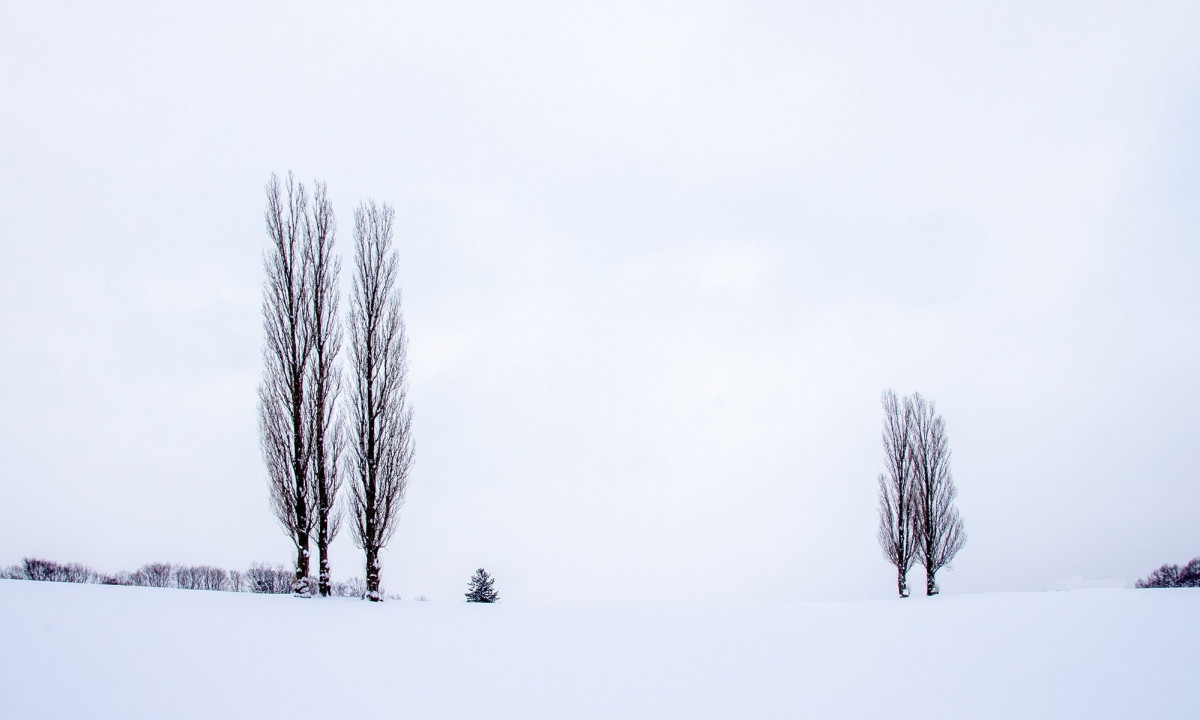 Διάβασε την προσωπική σου πρόβλεψη, για σήμερα 31/01/2026