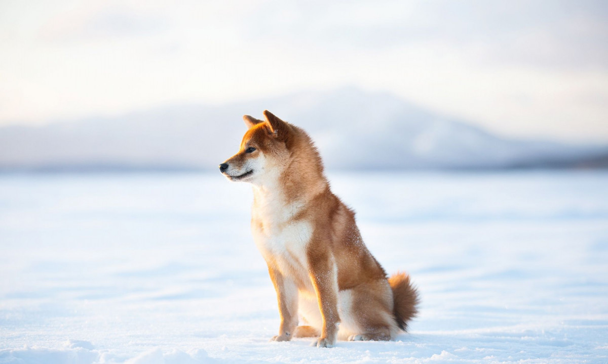 Διάβασε την προσωπική σου πρόβλεψη, για σήμερα 12/01/2026