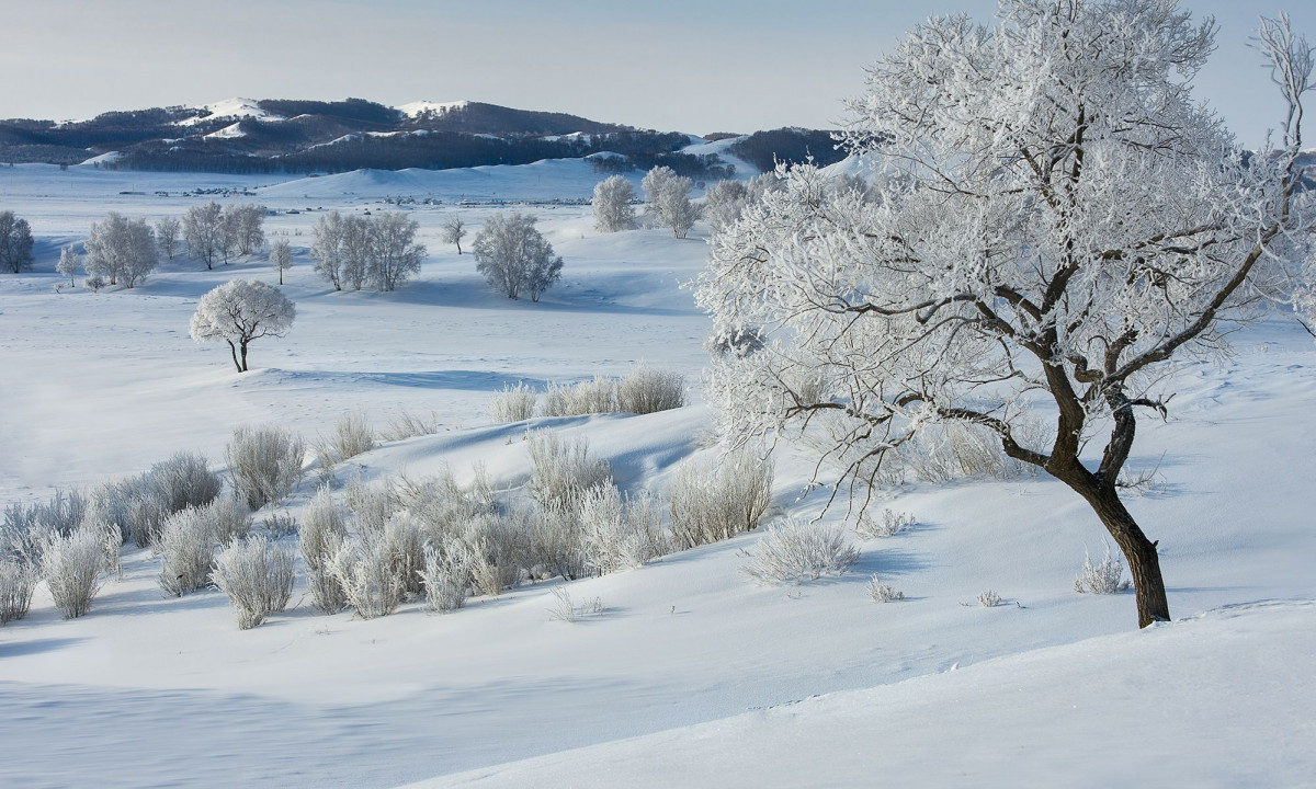 Διάβασε την προσωπική σου πρόβλεψη, για σήμερα 13/01/2026