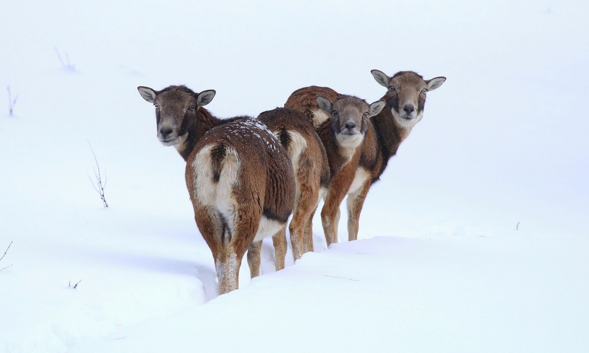Διάβασε την προσωπική σου πρόβλεψη, για σήμερα 16/01/2026