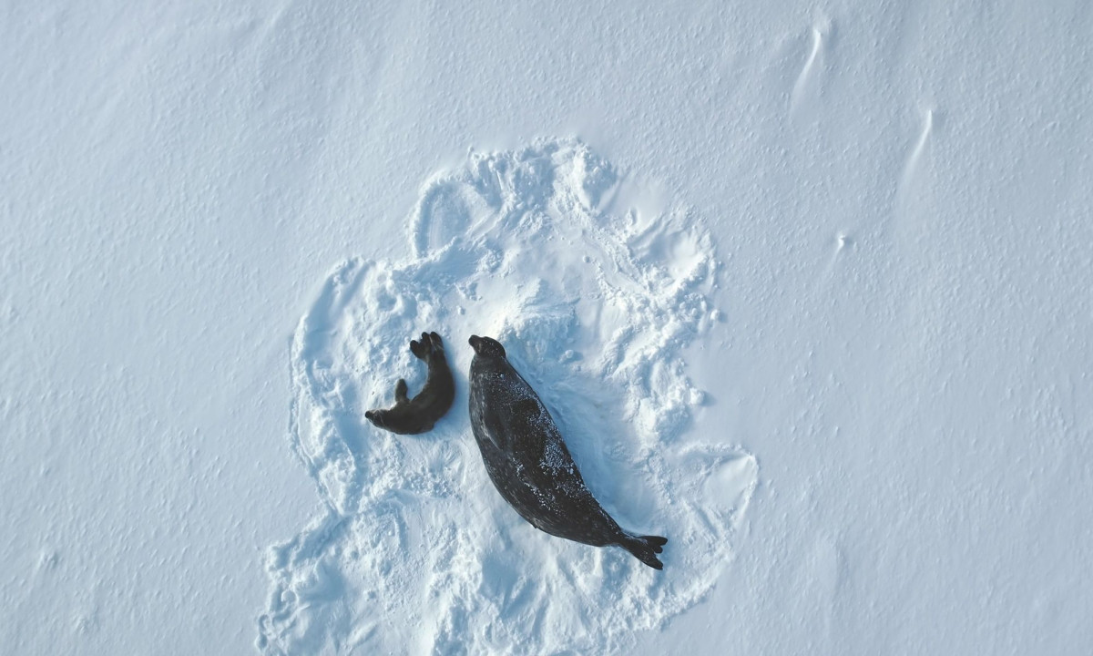 Διάβασε την προσωπική σου πρόβλεψη, για σήμερα 14/01/2026