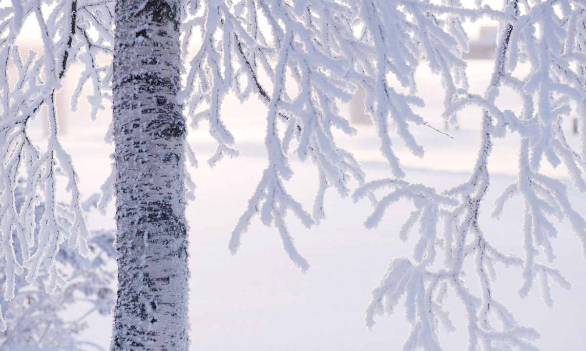 Διάβασε την προσωπική σου πρόβλεψη, για σήμερα 03/01/2026