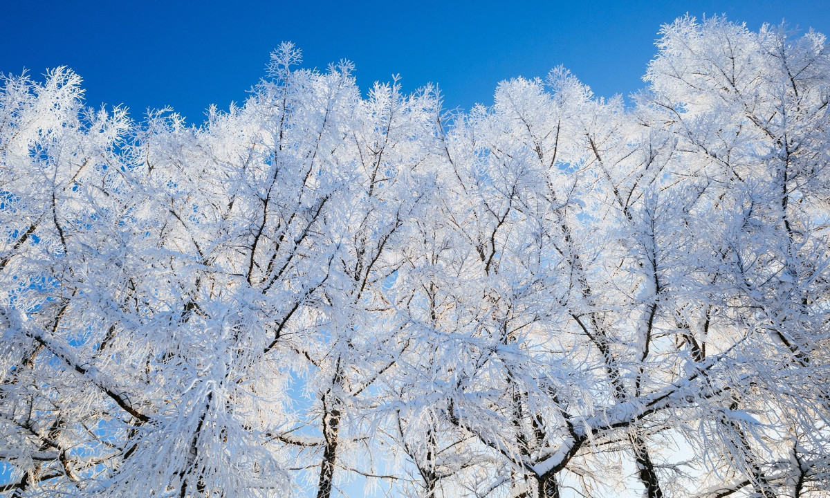 Διάβασε την προσωπική σου πρόβλεψη, για σήμερα 29/01/2026