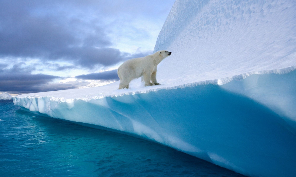 Διάβασε την προσωπική σου πρόβλεψη, για σήμερα 04/01/2026