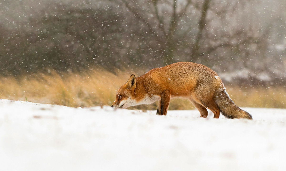 Διάβασε την προσωπική σου πρόβλεψη, για σήμερα 18/01/2026