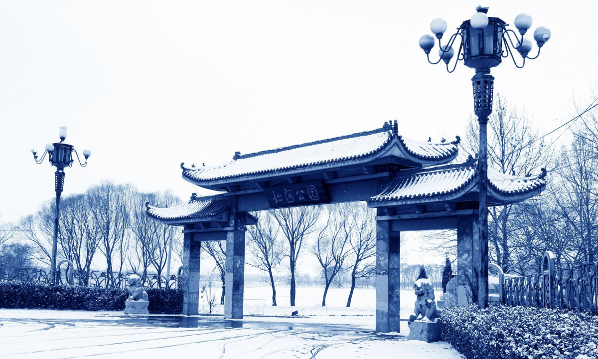 Κινέζικο Ωροσκόπιο 2026: Προβλέψεις των ζωδίων από  18/01 έως 17/02