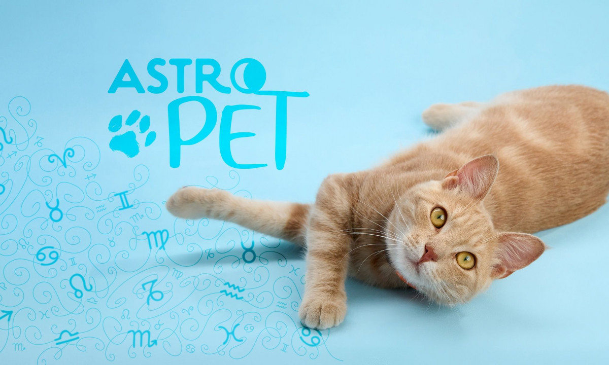 AstroPet από 20/01 έως 26/01: Εβδομαδιαίες προβλέψεις για το κατοικίδιό σου
