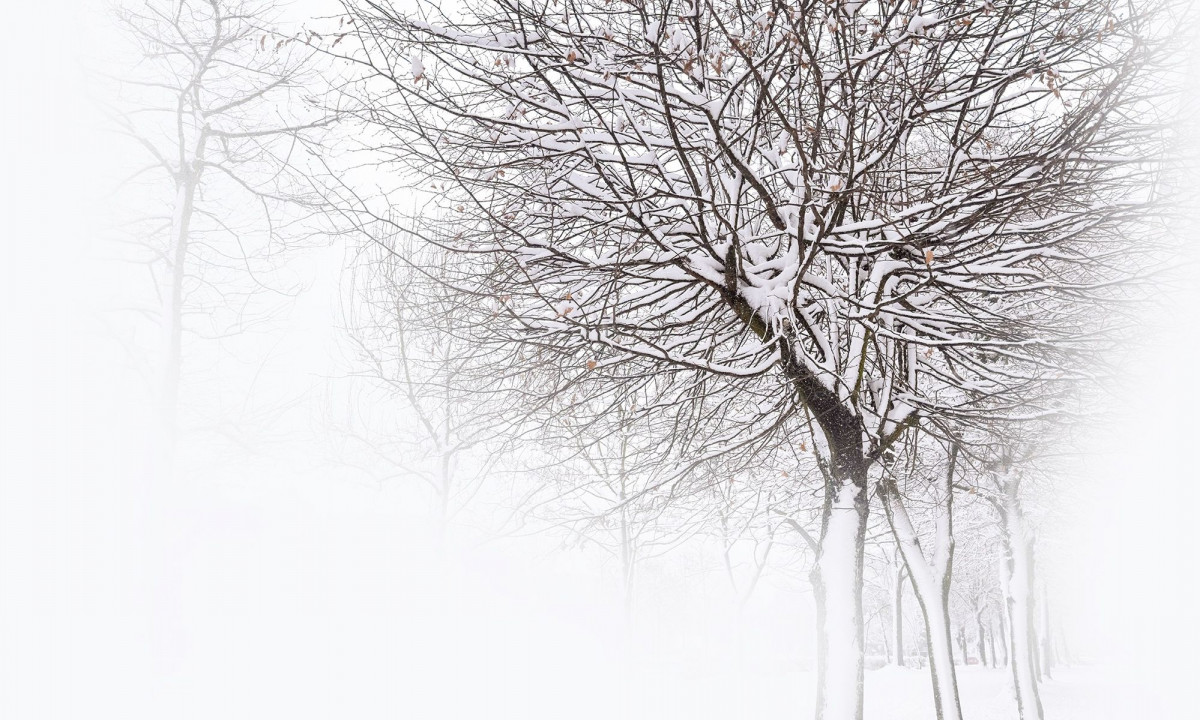 Διάβασε την προσωπική σου πρόβλεψη, για σήμερα 02/02/2026