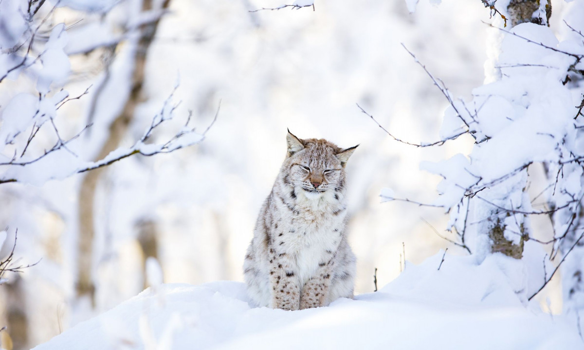 Διάβασε την προσωπική σου πρόβλεψη, για σήμερα 03/02/2026