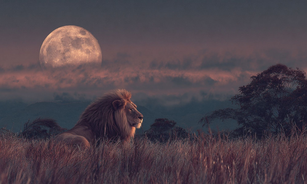 Πανσέληνος στον Λέοντα: Λάμψη, πάθος και αποκαλύψεις για όλα τα ζώδια