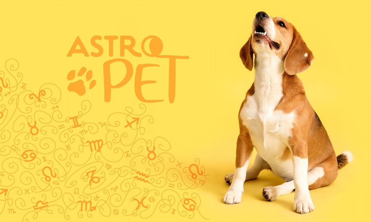 AstroPet από 03/02 έως 09/02: Εβδομαδιαίες προβλέψεις για το κατοικίδιό σου