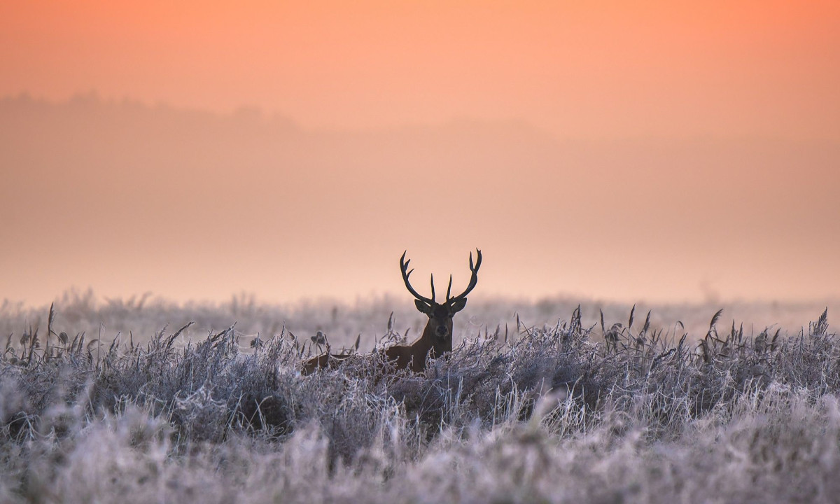 Διάβασε την προσωπική σου πρόβλεψη, για σήμερα 13/02/2026