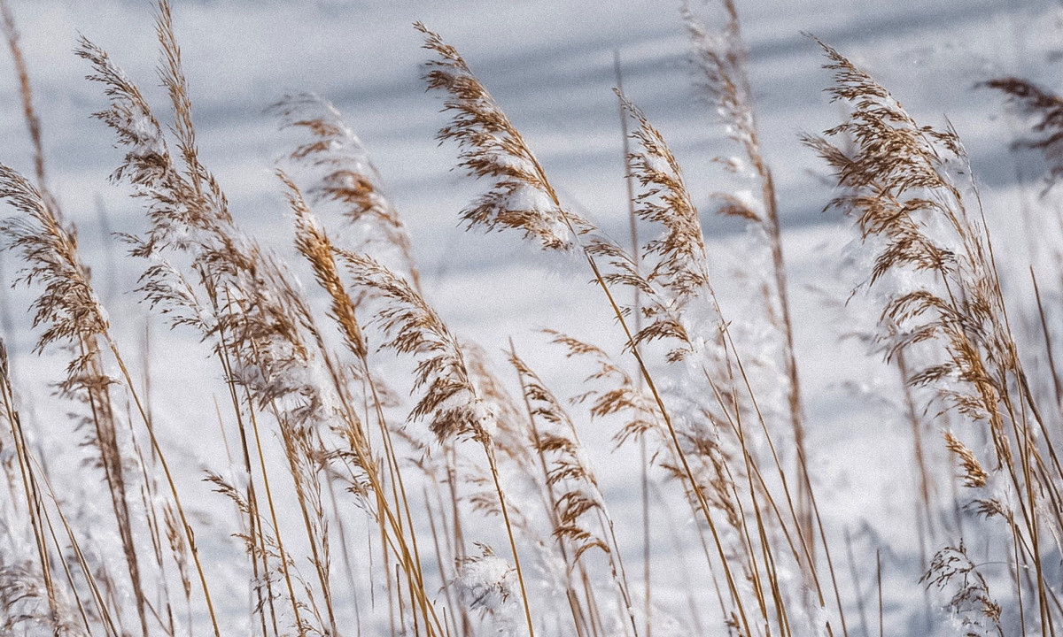 Διάβασε την προσωπική σου πρόβλεψη, για σήμερα 16/02/2026