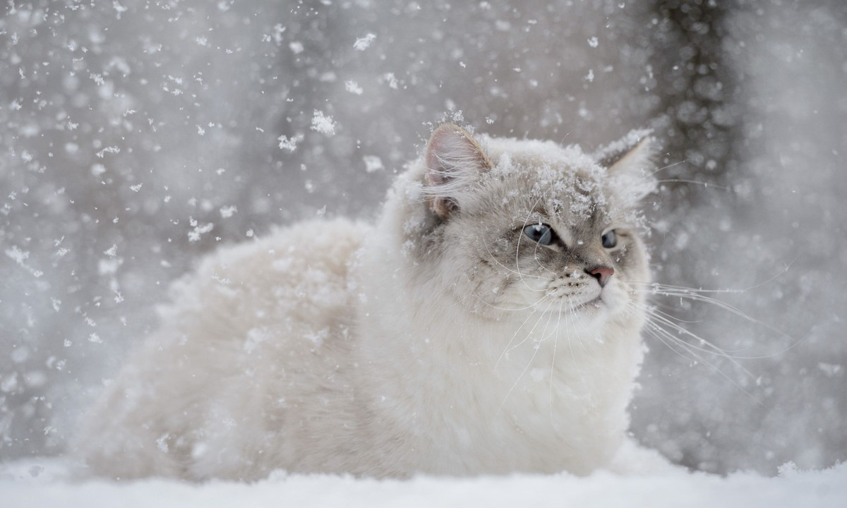 Διάβασε την προσωπική σου πρόβλεψη, για σήμερα 27/02/2026