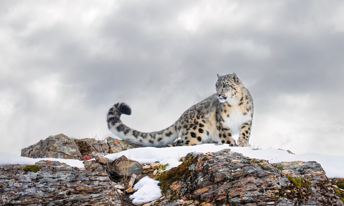 Διάβασε την προσωπική σου πρόβλεψη, για σήμερα 19/02/2026