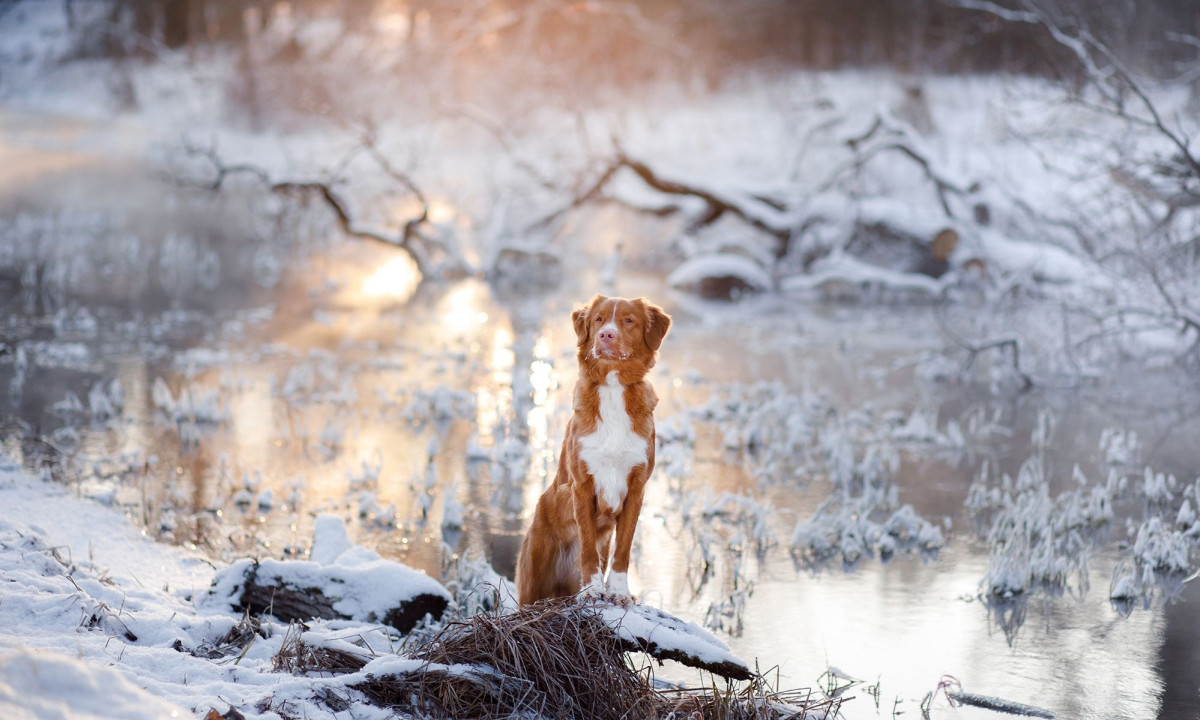 Διάβασε την προσωπική σου πρόβλεψη, για σήμερα 25/02/2026