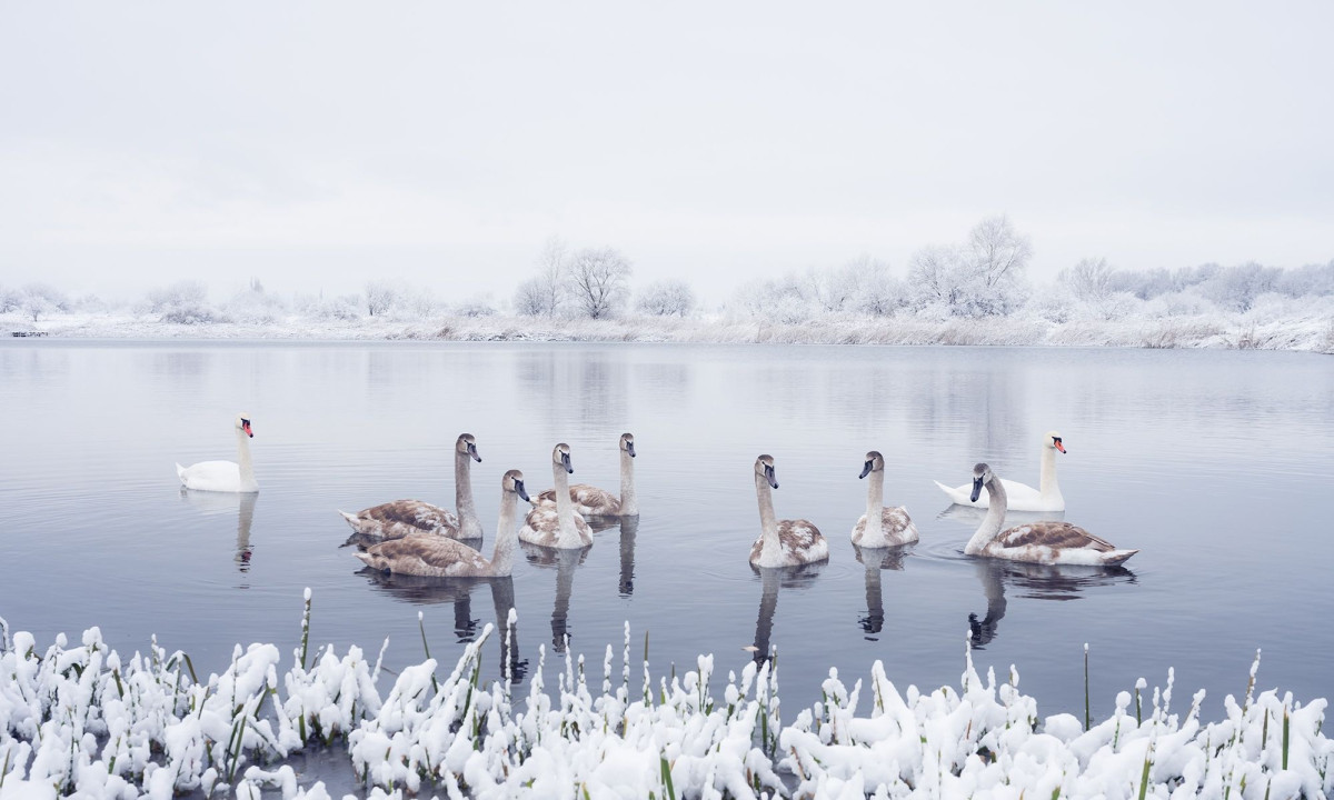 Διάβασε την προσωπική σου πρόβλεψη, για σήμερα 21/02/2026