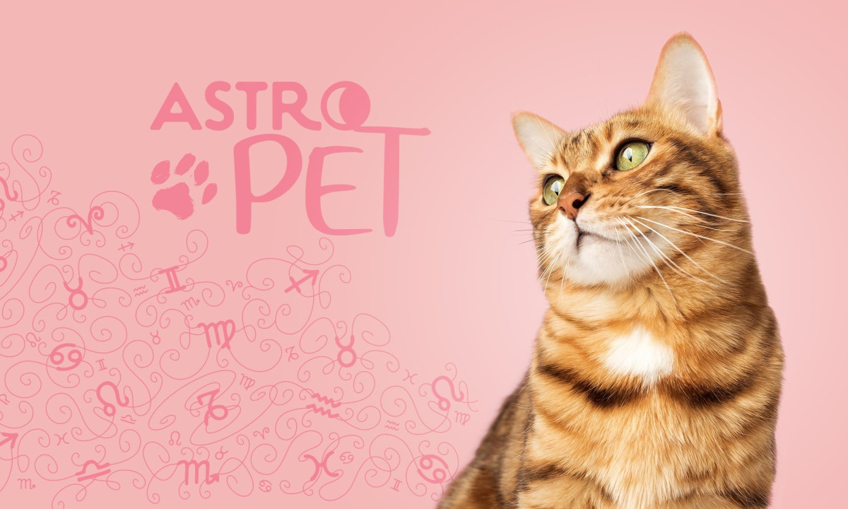 AstroPet από 24/02 έως 02/03: Εβδομαδιαίες προβλέψεις για το κατοικίδιό σου