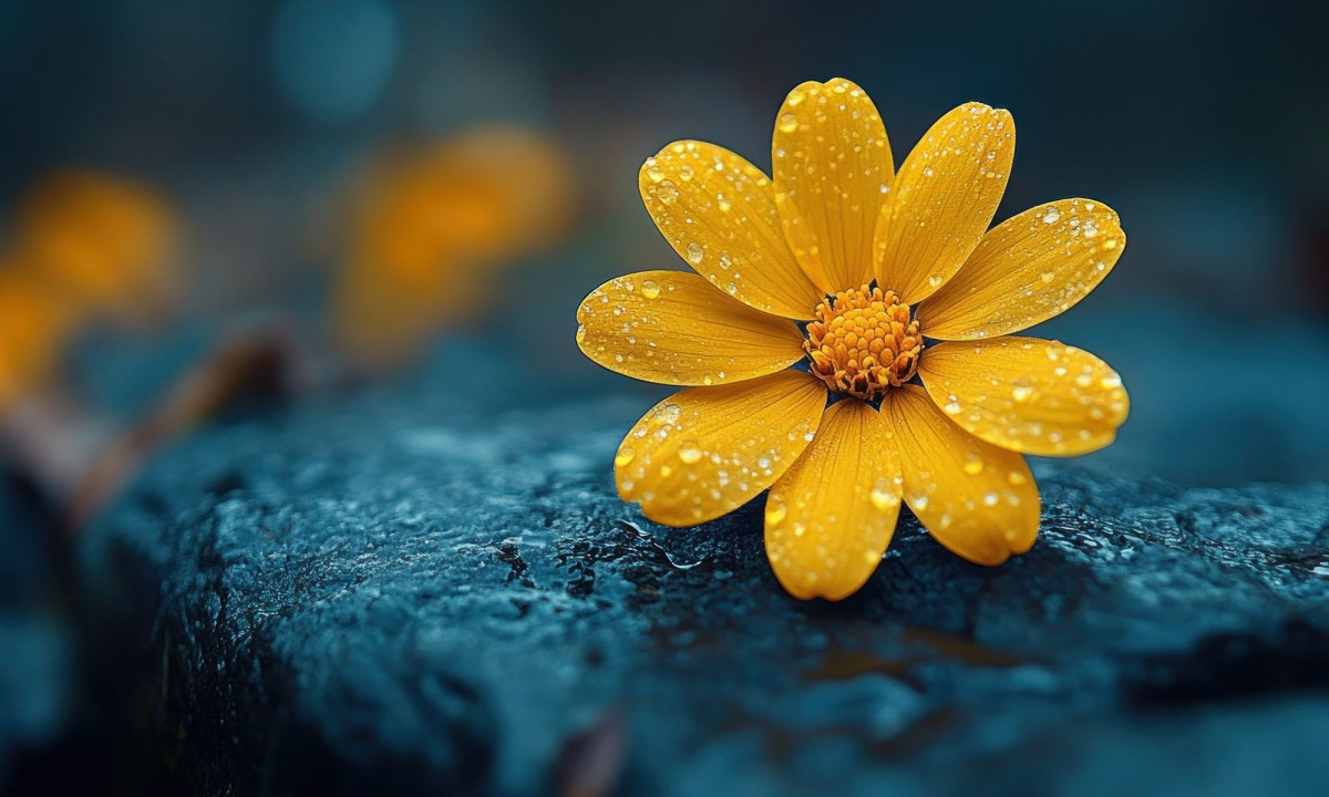 Διάβασε την προσωπική σου πρόβλεψη, για σήμερα 01/03/2026