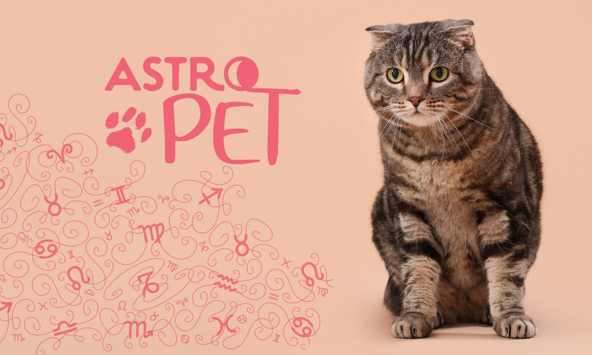 AstroPet από 03/03 έως 09/03: Εβδομαδιαίες προβλέψεις για το κατοικίδιό σου