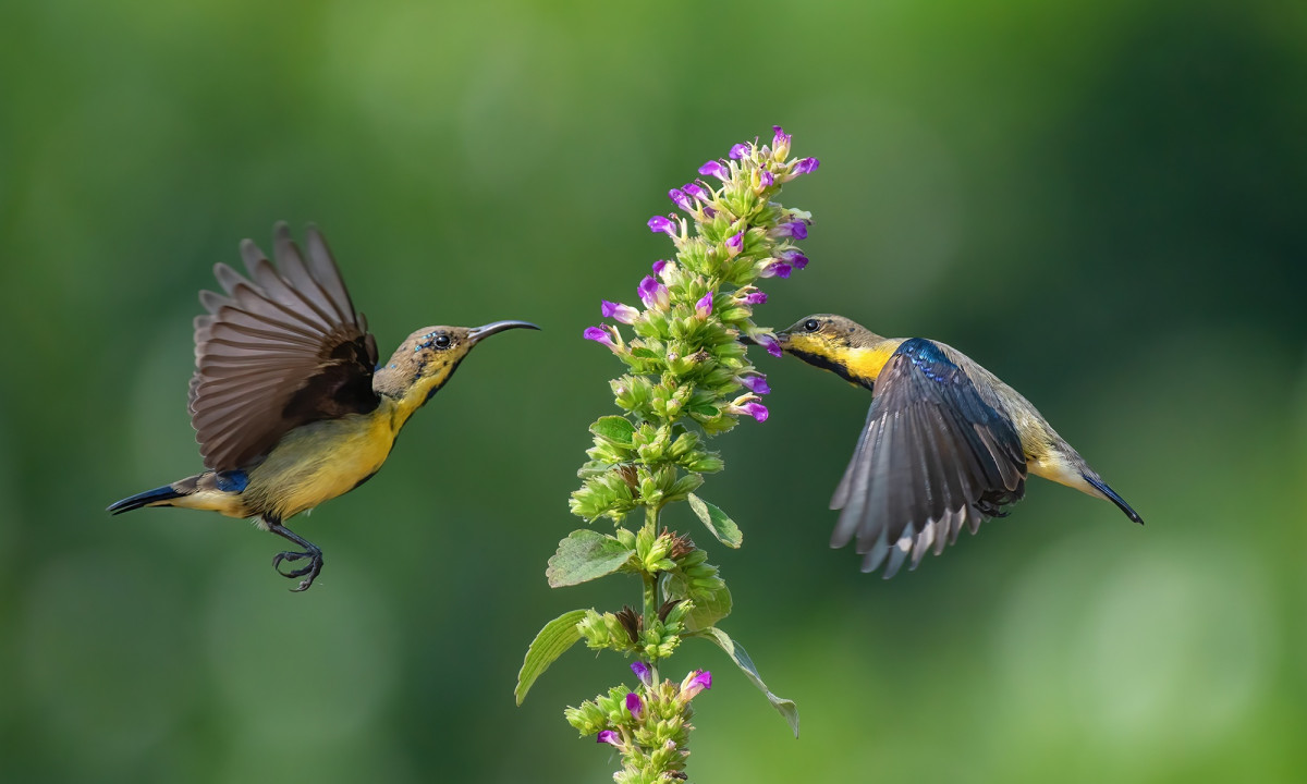 Διάβασε την προσωπική σου πρόβλεψη, για σήμερα 06/03/2026