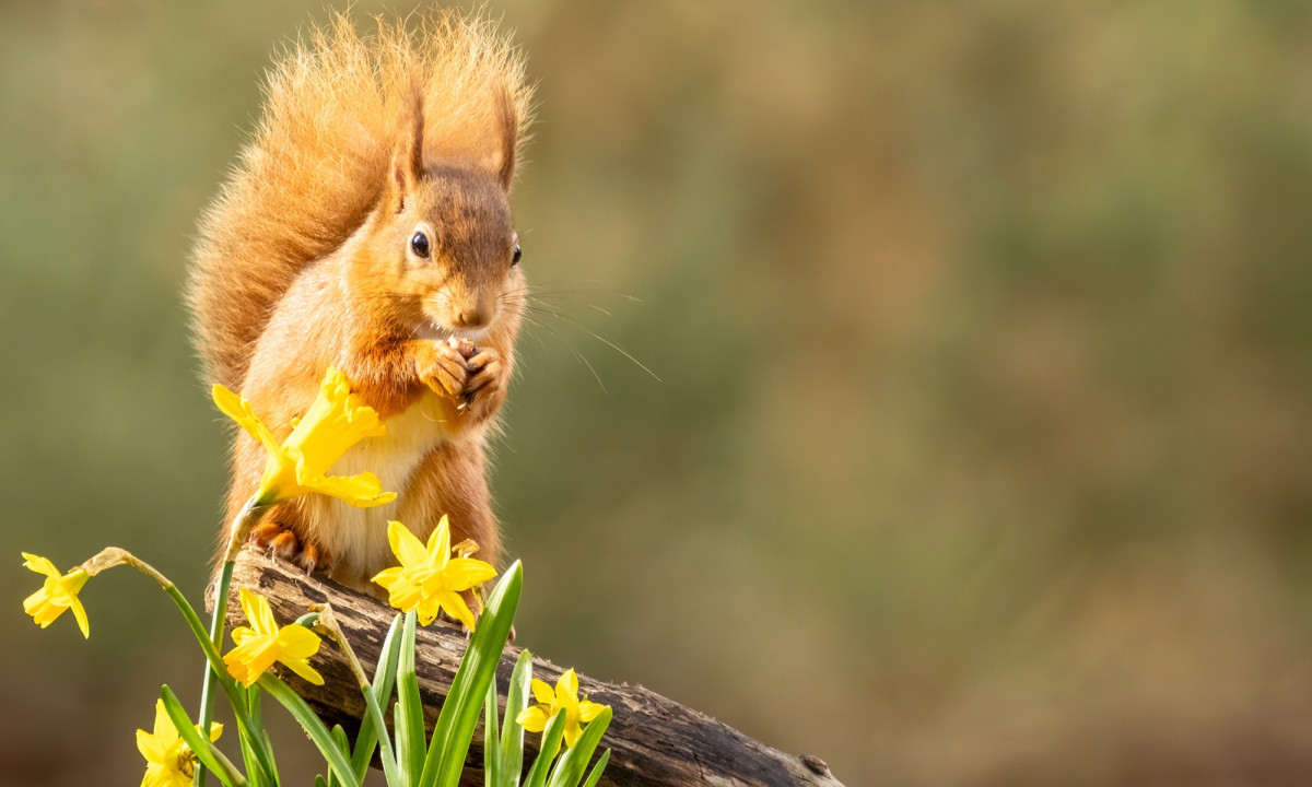 Διάβασε την προσωπική σου πρόβλεψη, για σήμερα 08/03/2026