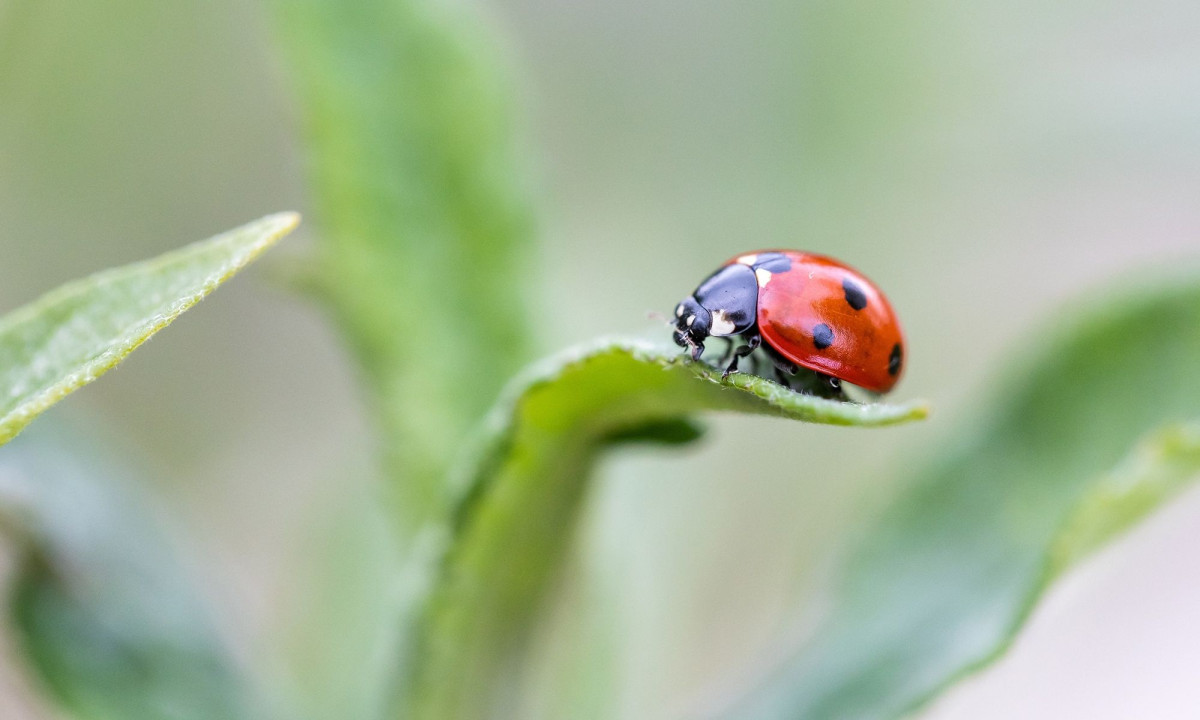 Διάβασε την προσωπική σου πρόβλεψη, για σήμερα 04/03/2026