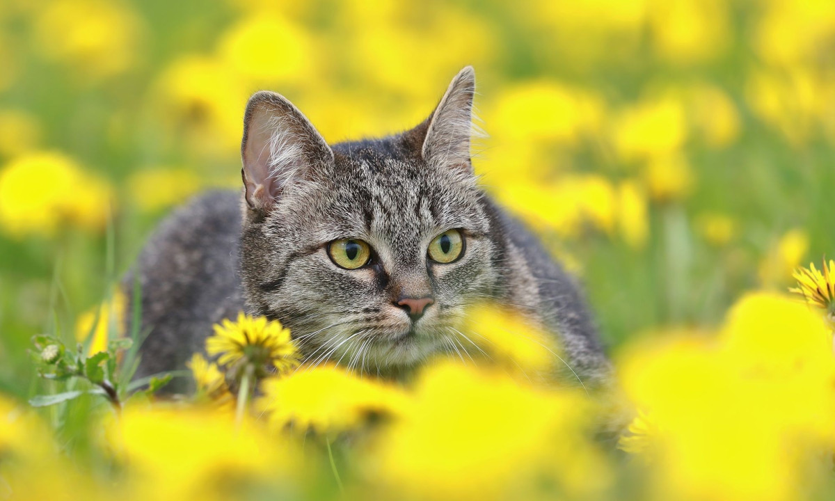 Διάβασε την προσωπική σου πρόβλεψη, για σήμερα 10/03/2026