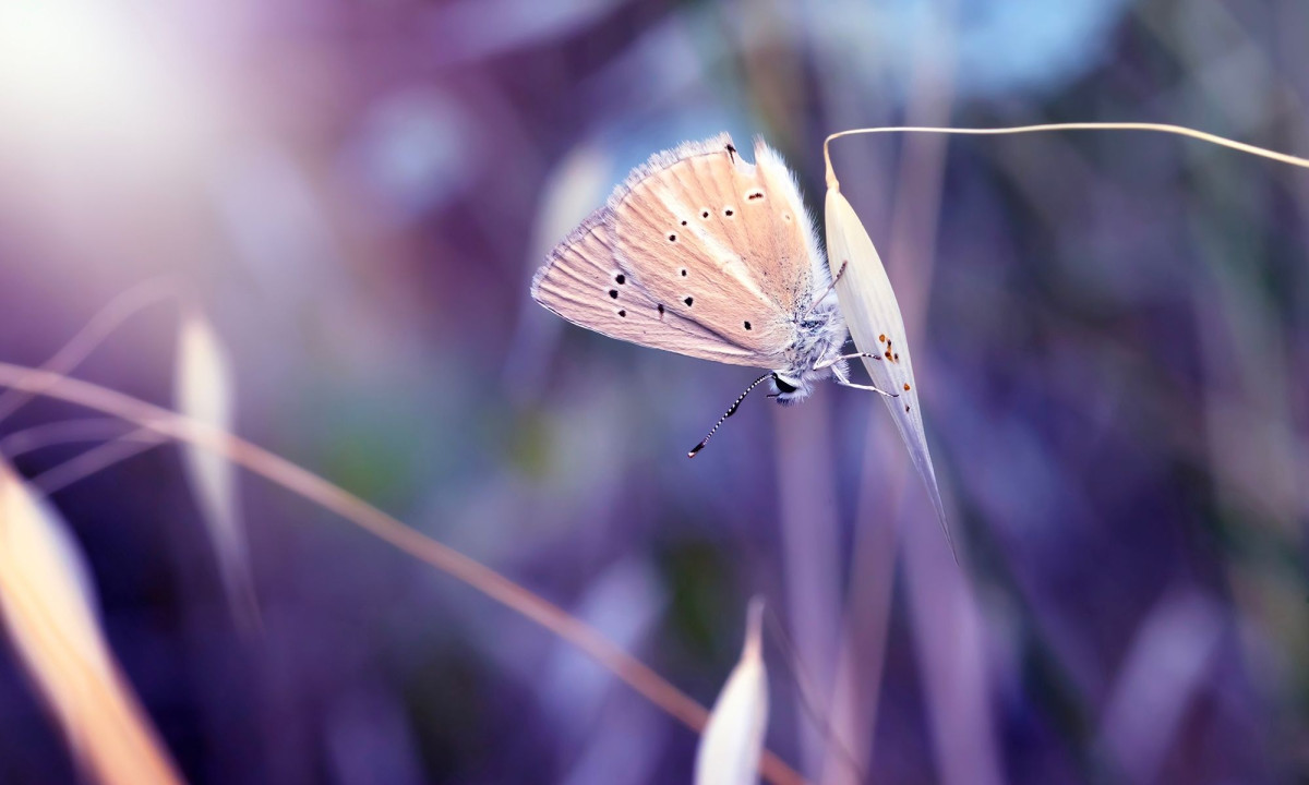 Διάβασε την προσωπική σου πρόβλεψη, για σήμερα 24/03/2026