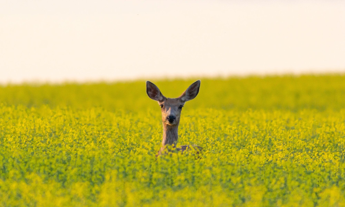 Διάβασε την προσωπική σου πρόβλεψη, για σήμερα 22/03/2026