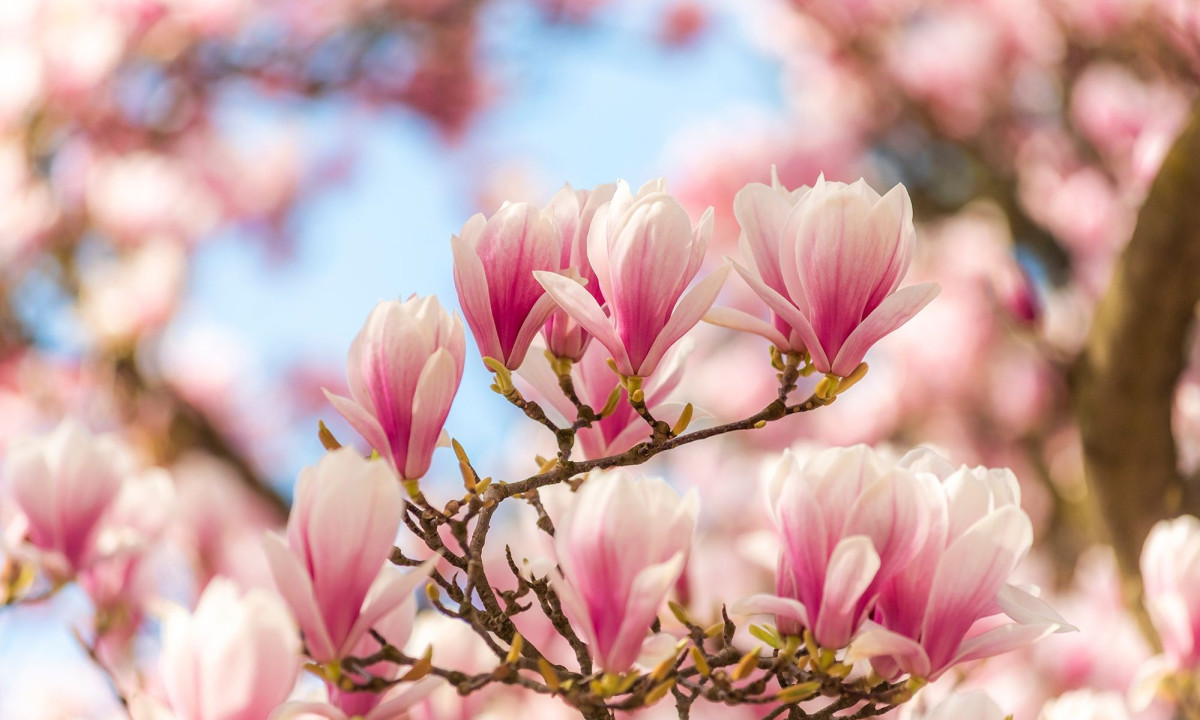 Διάβασε την προσωπική σου πρόβλεψη, για σήμερα 19/03/2026