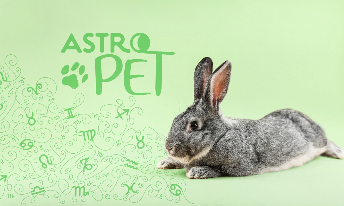 AstroPet από 10/03 έως 16/03: Εβδομαδιαίες προβλέψεις για το κατοικίδιό σου