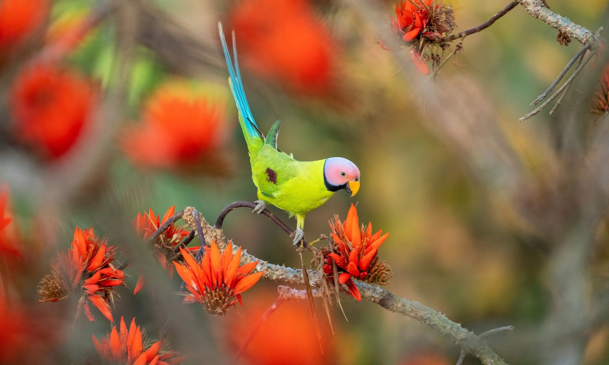 Διάβασε την προσωπική σου πρόβλεψη, για σήμερα 12/03/2026