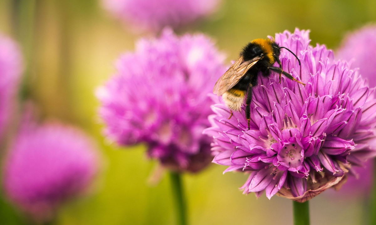 Διάβασε την προσωπική σου πρόβλεψη, για σήμερα 15/03/2026