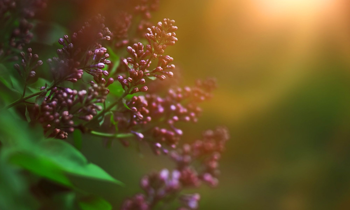 Διάβασε την προσωπική σου πρόβλεψη, για σήμερα 13/03/2026