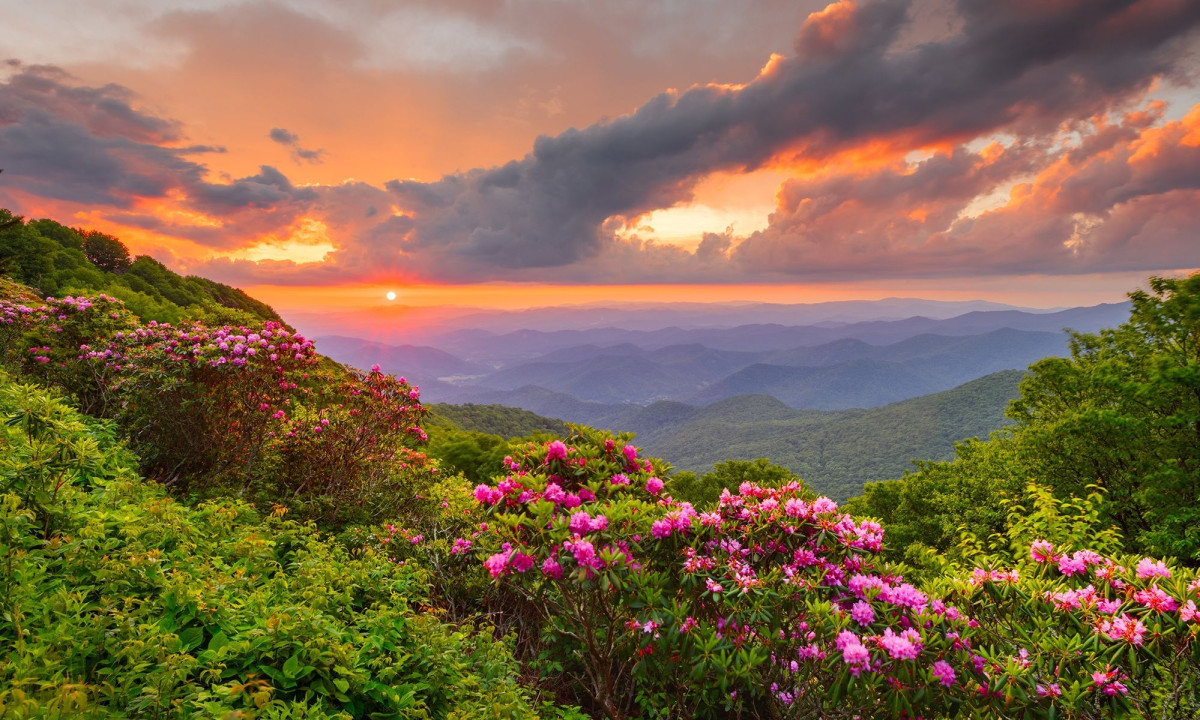 Διάβασε την προσωπική σου πρόβλεψη, για σήμερα 17/03/2026