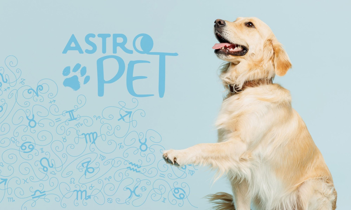 AstroPet από 24/03 έως 30/03: Εβδομαδιαίες προβλέψεις για το κατοικίδιό σου