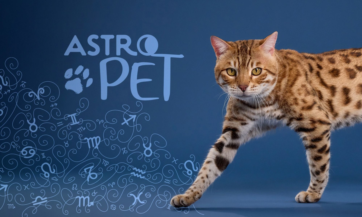 AstroPet από 31/03 έως 06/04: Εβδομαδιαίες προβλέψεις για το κατοικίδιό σου