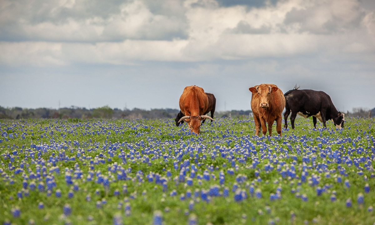 Διάβασε την προσωπική σου πρόβλεψη, για σήμερα 06/04/2026